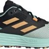 Adidas TERREX Speed Flow Chaussures de trail running Femme, gris