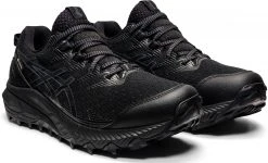 Asics Gel-Trabuco 10 GTX Chaussures Femme, noir