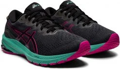 Asics GT-1000 11 GTX Chaussures Femme, noir
