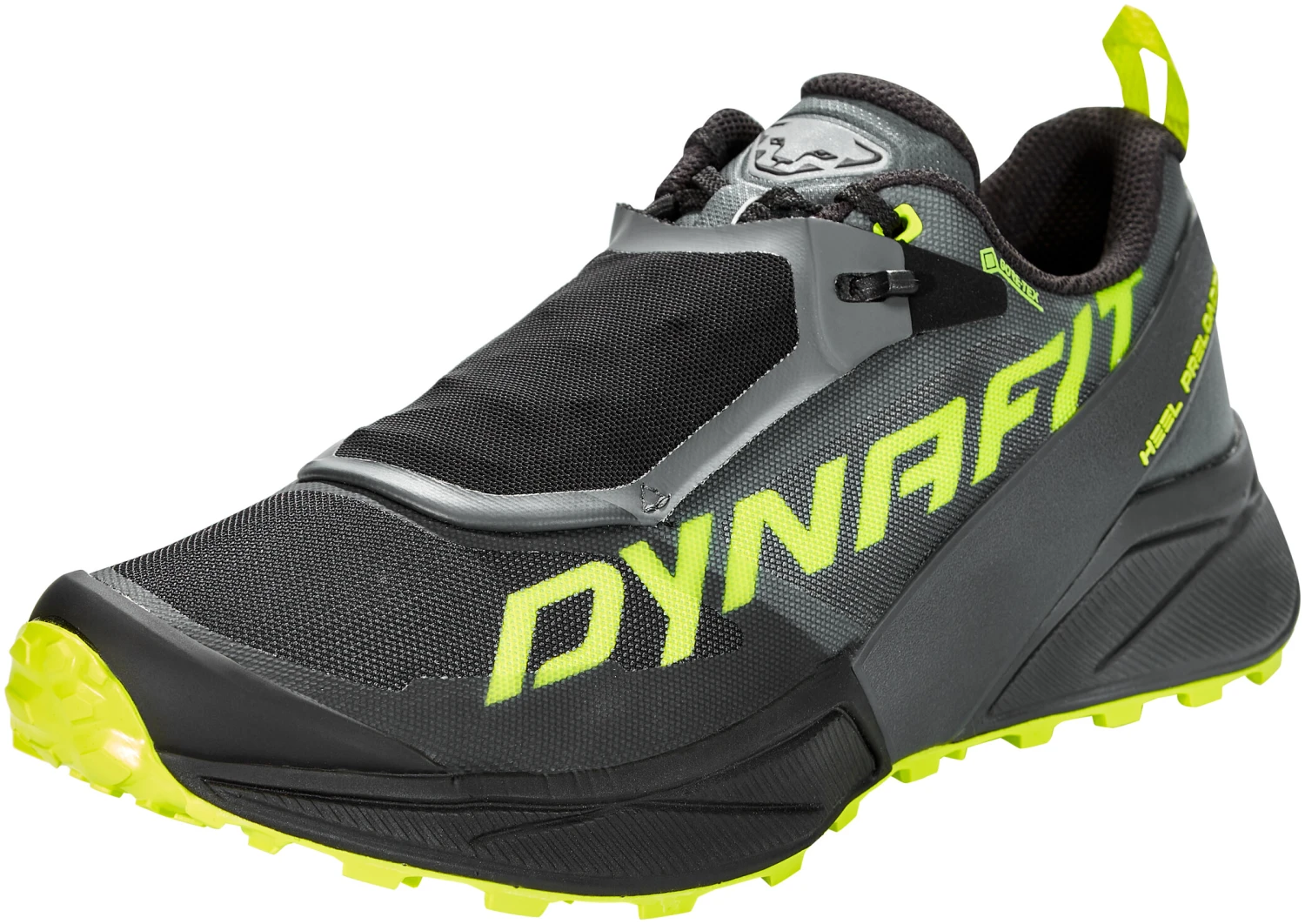 Dynafit Ultra 100 GTX Chaussures Homme, noir